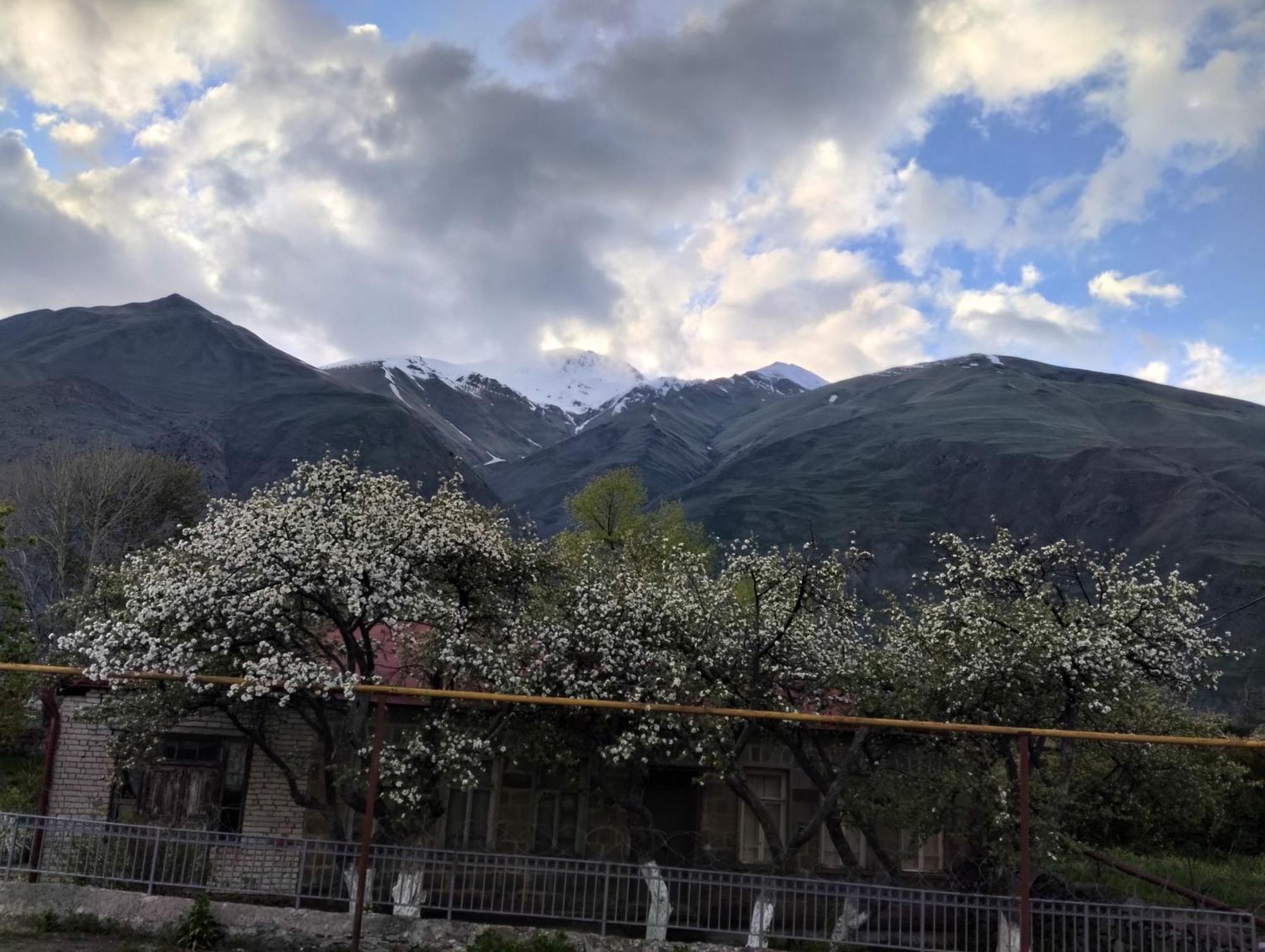 Kazbegi Cottage Memo المظهر الخارجي الصورة